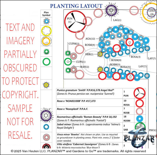 L shape Le Matisse: PLANT LIST + LAYOUT Digital Download Landscape Plans