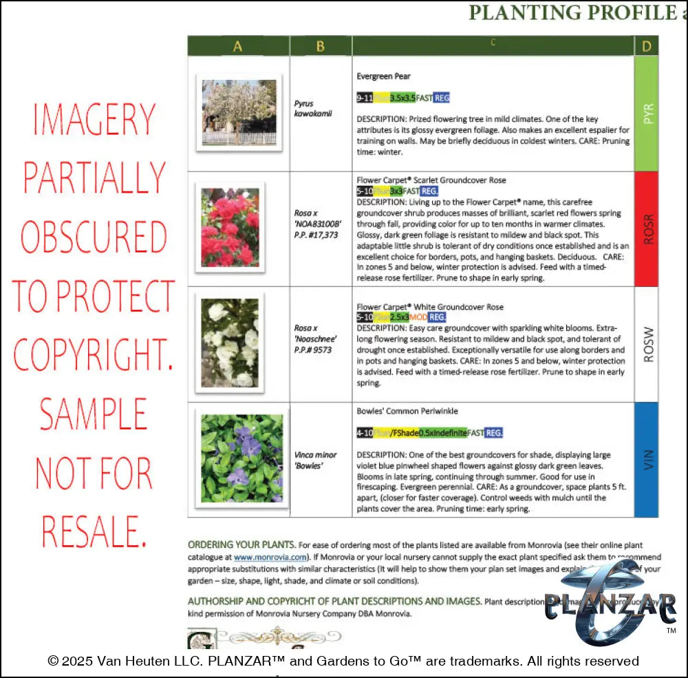 L shape Townhome Courtyard: PLANT GUIDE Digital Download Landscape Plans