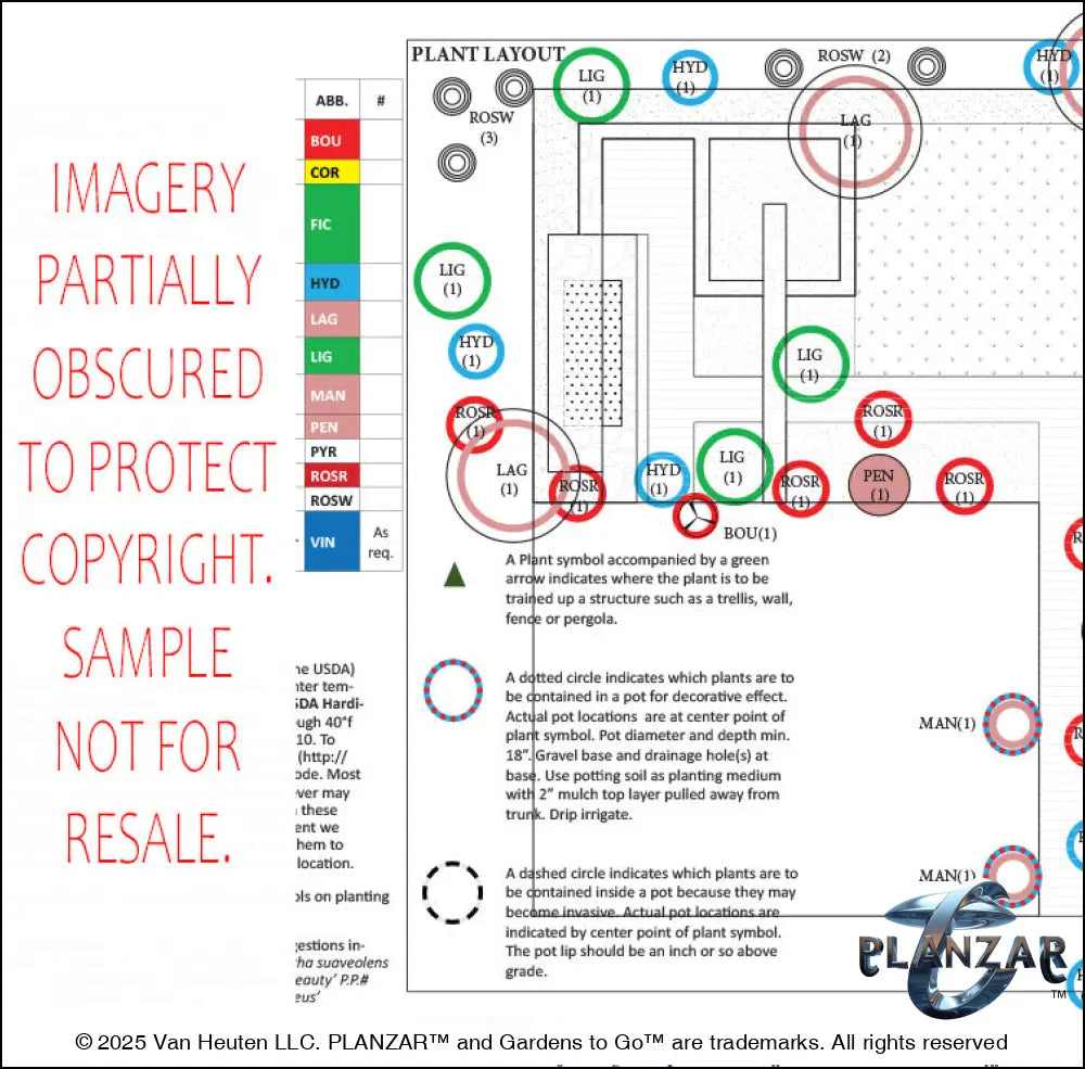 L shape Townhome Courtyard: PLANT LIST + LAYOUT Digital Download Landscape Plans