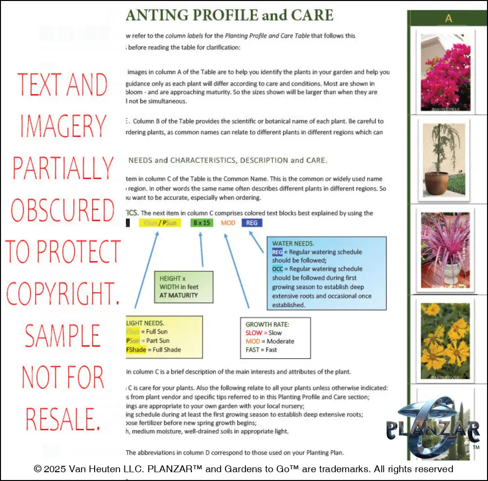 Plant profile and care instructions for the rectangular Cypress Theatrical landscape design, featuring plant identification photos, botanical names, growth habits, mature size, seasonal interest, and care notes. Supports proper selection, installation, and long‑term care of the curated xeric planting used in this luxury, low‑maintenance, low‑water‑use plan blending modern style with timeless traditional character.