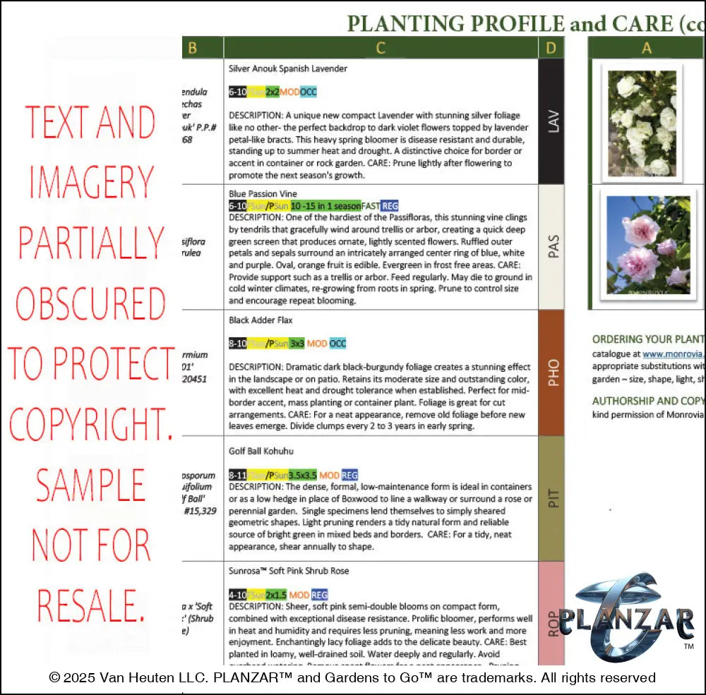 Rectangular Cypress Theatrical: PLANTING GUIDE Digital Download Landscape Plans