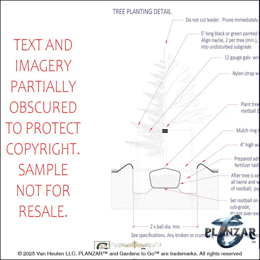 Rectangular Modern Water: SPECIFICATIONS Digital Download Landscape Plans