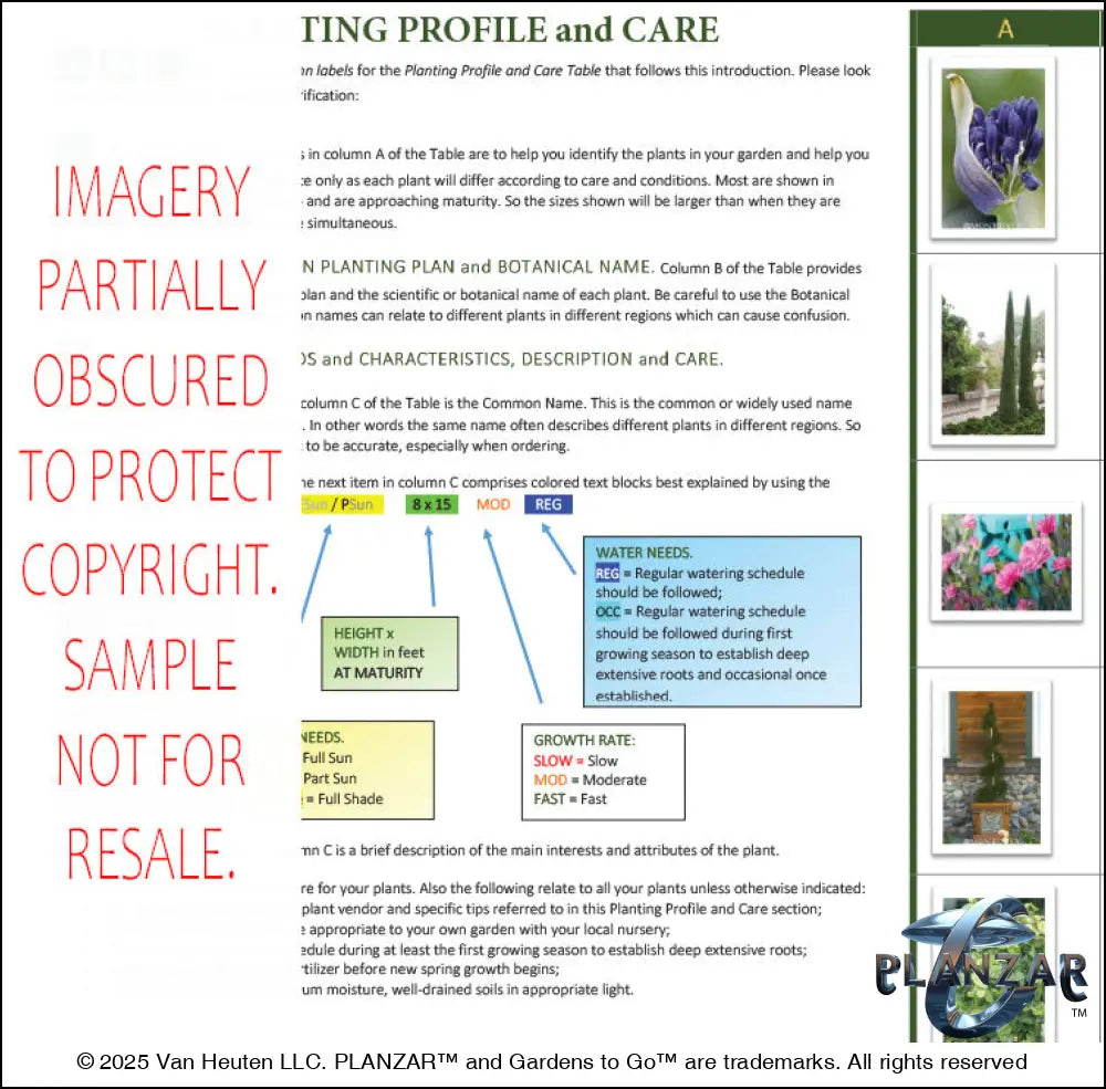Planting guide for the L‑shaped American Colonial landscape design, featuring plant identification photos, botanical names, care notes, and guidance on light needs, watering, growth habits, and mature size. Supports proper installation and long‑term care of the curated xeric planting used in this luxury, low‑maintenance, low‑water‑use plan blending modern outdoor living with timeless Colonial style.