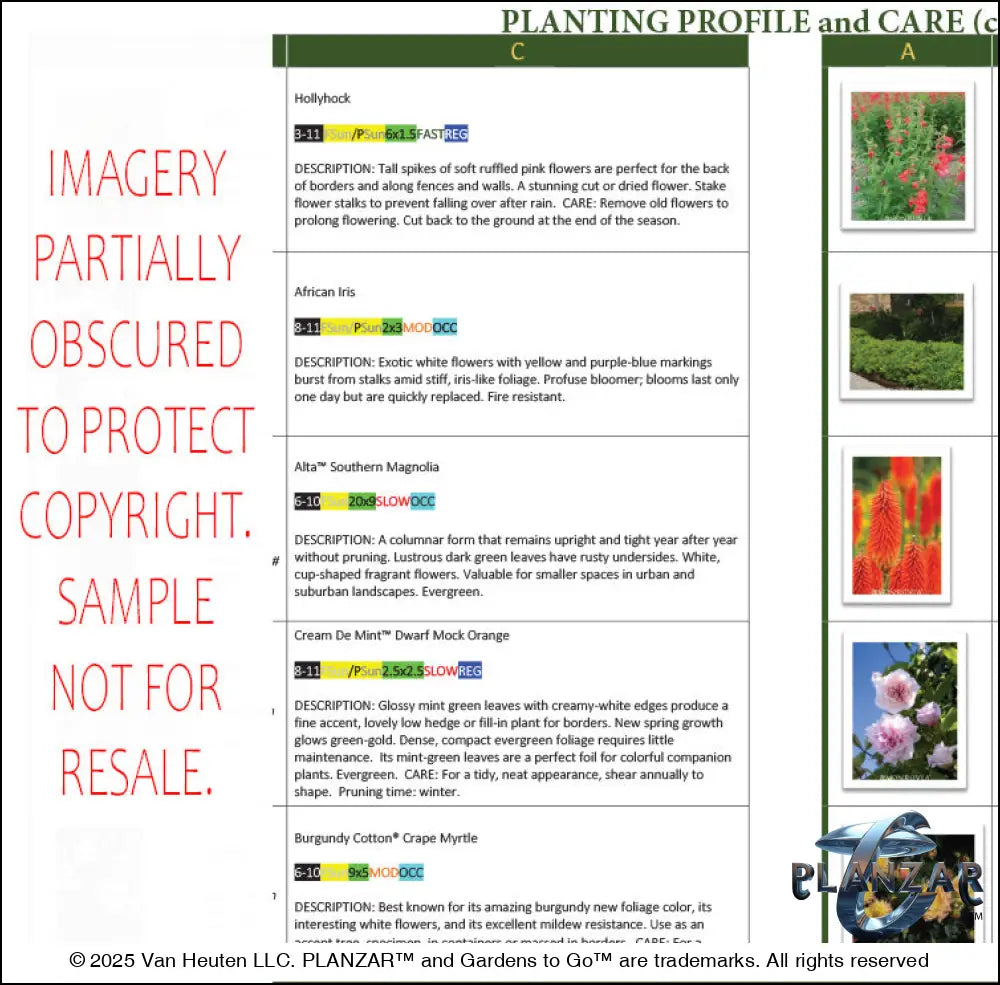 L shape American Colonial: PLANT GUIDE Digital Download Landscape Plans