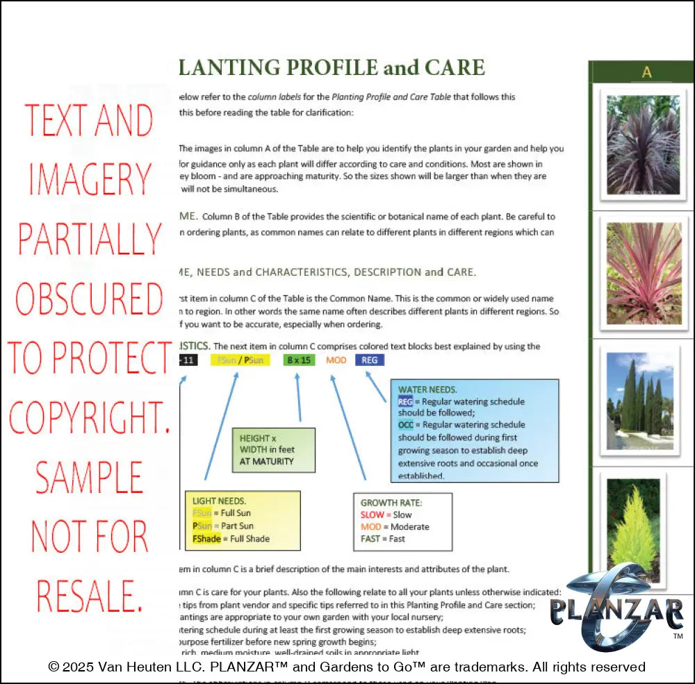 L Shape Contemporary Chic - Option One: PLANTING GUIDE Digital Download Landscape Plans
