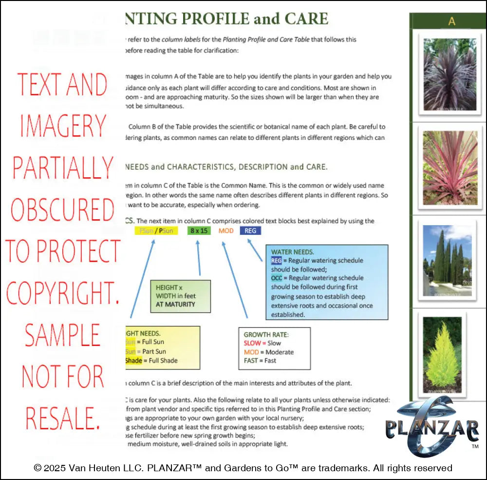 Planting guide for the L‑shaped Contemporary Chic landscape design, featuring plant identification photos, botanical names, care notes, and guidance on light needs, watering, growth habits, and mature size. Supports proper installation and long‑term care of the curated xeric planting used in this luxury, low‑maintenance, low‑water‑use, design‑forward outdoor plan.