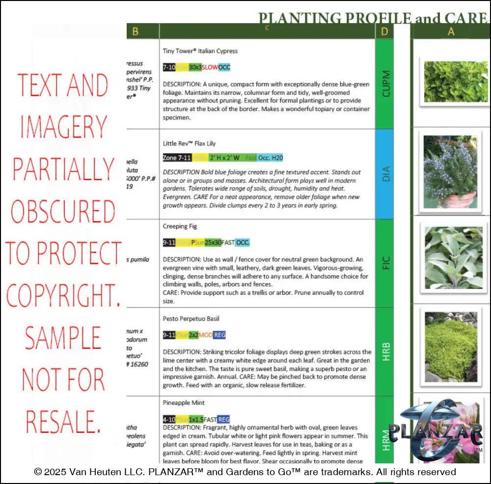 L Shape Contemporary Chic - Option Two: PLANTING GUIDE Digital Download Landscape Plans