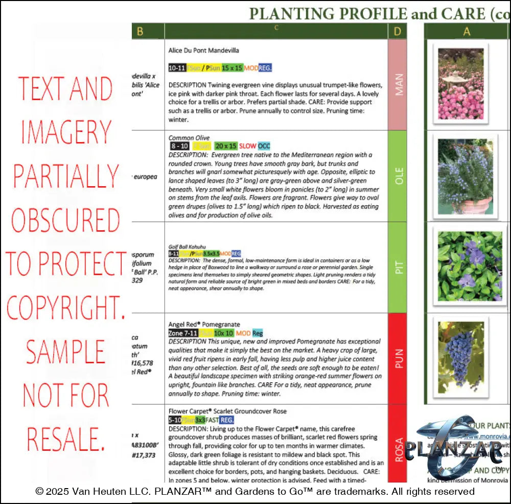 L shape L’Aixois: PLANT GUIDE Digital Download Landscape Plans