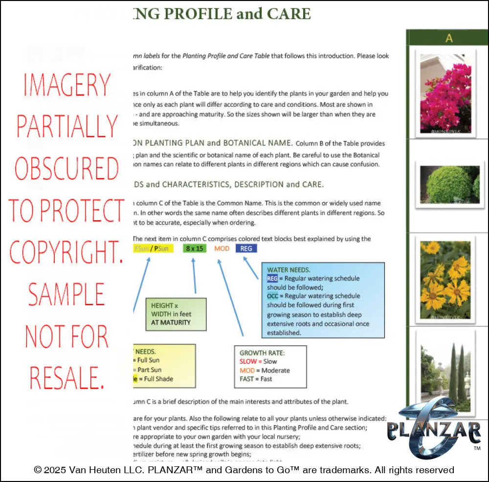 Planting guide for the L‑shaped Mid‑Century Modern landscape design, featuring plant identification photos, botanical names, color‑coded care indicators, and detailed notes on light needs, watering requirements, growth rates, and mature plant size. Includes structured guidance to support proper installation, seasonal care, and long‑term maintenance of the curated xeric planting used in this luxury, low‑maintenance, low‑water‑use Mid‑Century Modern outdoor plan.