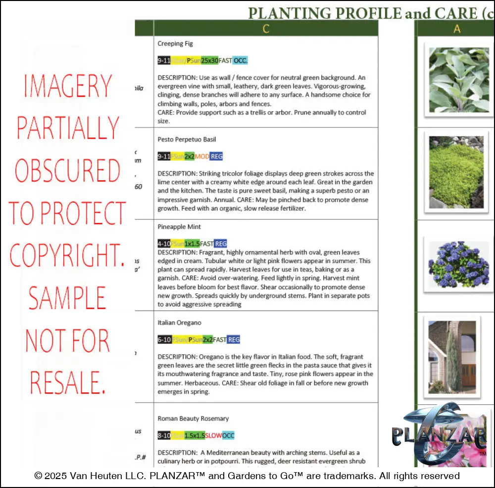 L shape Mid-century Modern: PLANT GUIDE Digital Download Landscape Plans