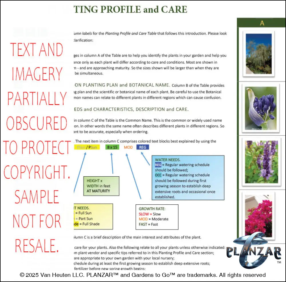 Planting guide for the L‑shaped Modern Water landscape design, featuring plant identification photos, botanical names, color‑coded care indicators, and detailed notes on light needs, watering requirements, growth rates, and mature plant size. Includes structured guidance to support proper installation, seasonal care, and long‑term maintenance of the curated xeric planting used in this luxury, low‑maintenance, low‑water‑use Modern Water outdoor plan.