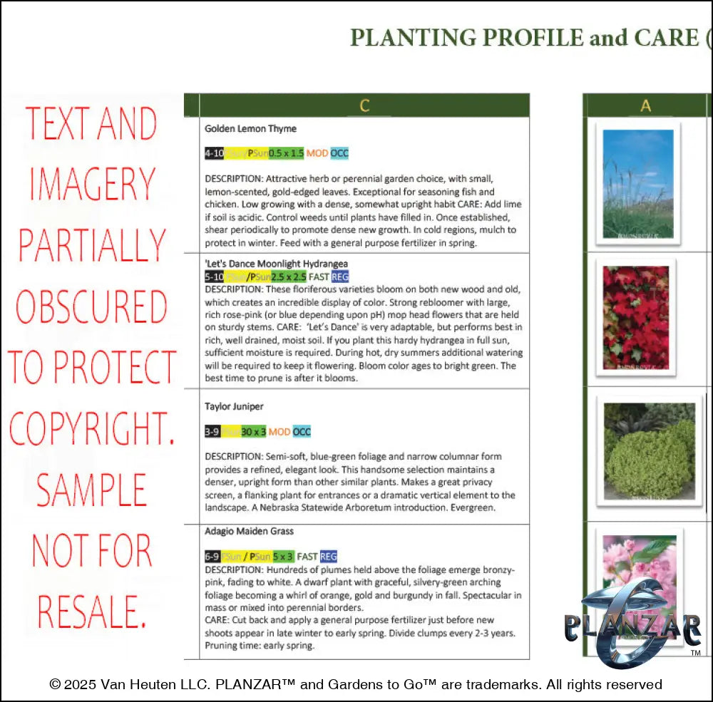 L shape Modern Water: PLANT GUIDE Digital Download Landscape Plans
