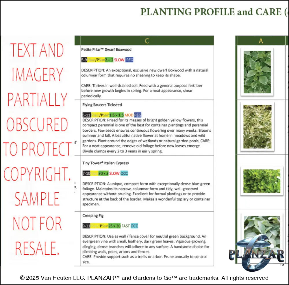 L shape Modern Water: PLANT GUIDE Digital Download Landscape Plans