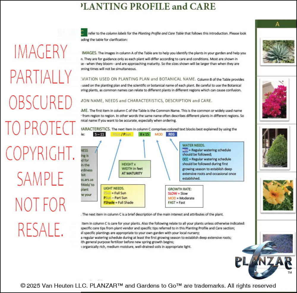 Planting guide for the L‑shaped Southwestern landscape design, featuring plant identification photos, botanical names, care notes, and guidance on light needs, watering, growth habits, and mature size. Supports proper installation and long‑term care of the curated xeric planting used in this luxury, low‑maintenance, low‑water‑use Southwestern plan.