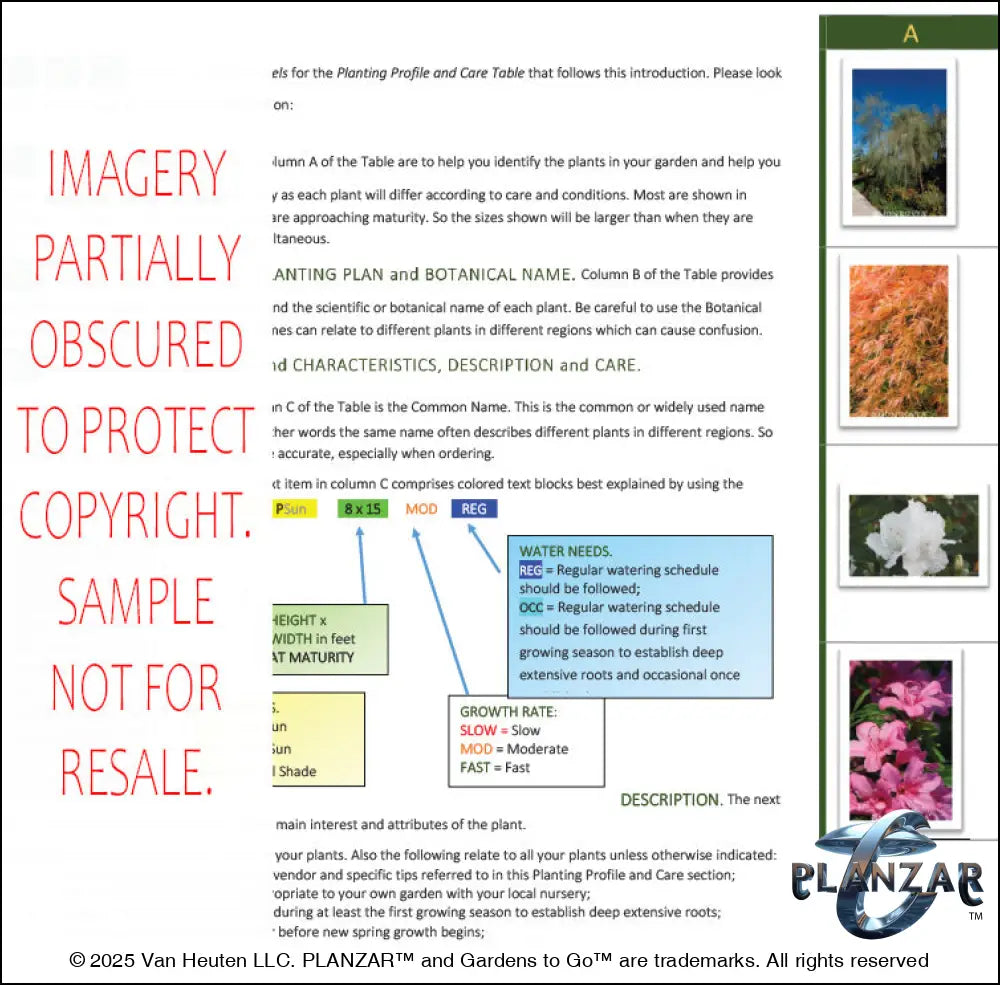 Planting guide for the L‑shaped Tokyo Zen landscape design, featuring plant identification photos, botanical names, care notes, and guidance on light needs, watering, growth habits, and mature size. Supports proper installation and long‑term care of the curated xeric planting used in this luxury, low‑maintenance, low‑water‑use Zen‑inspired plan.