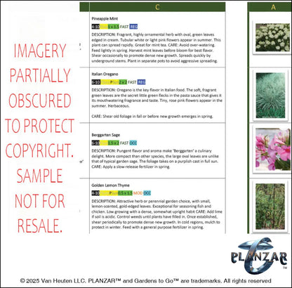 L shape Tokyo Zen: PLANT GUIDE Digital Download Landscape Plans
