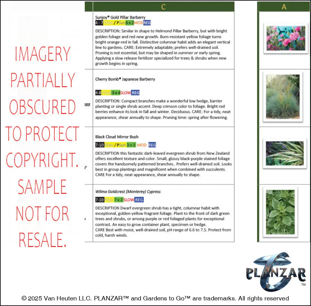 L shape Tokyo Zen: PLANT GUIDE Digital Download Landscape Plans