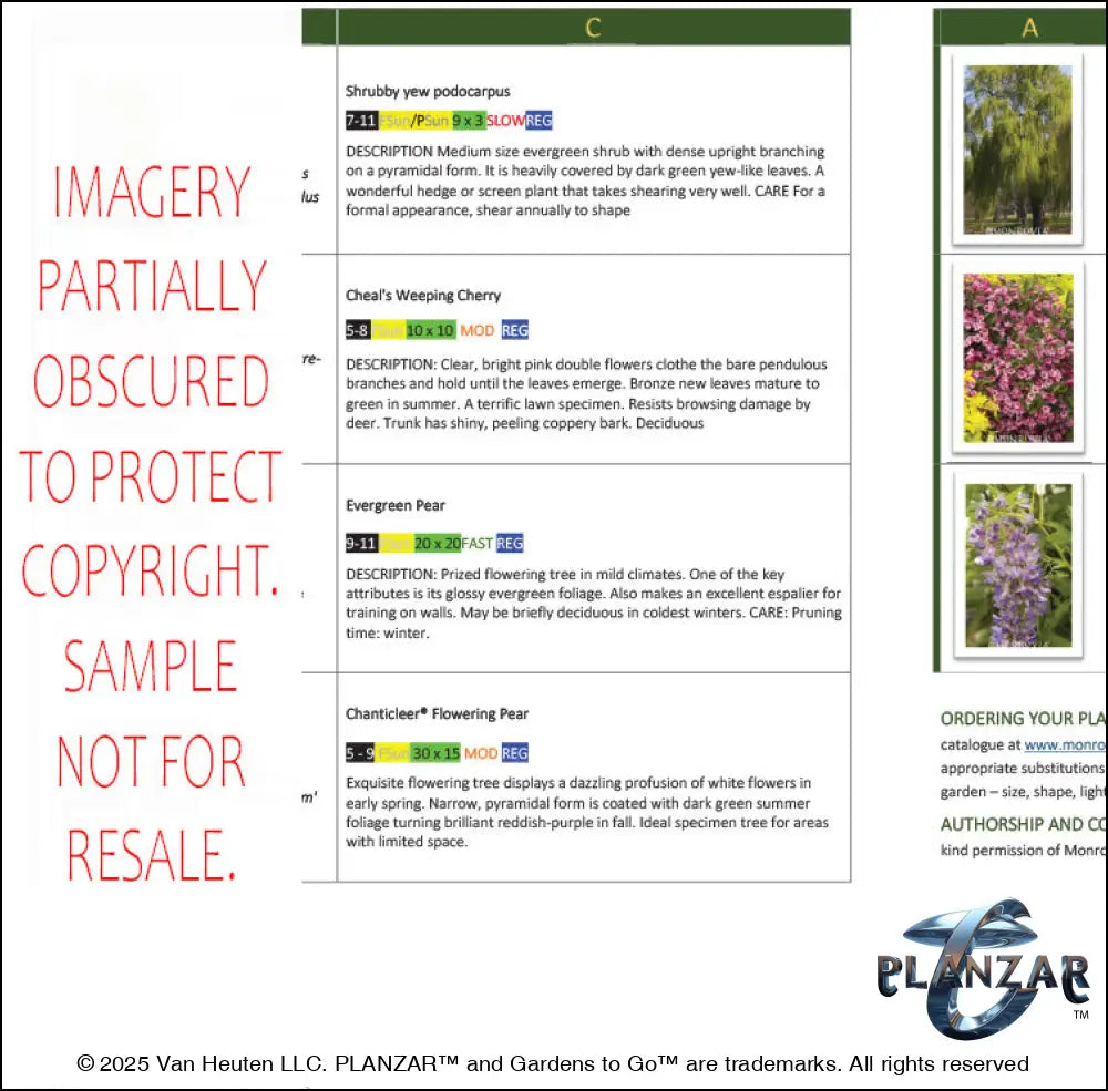 L shape Tokyo Zen: PLANT GUIDE Digital Download Landscape Plans