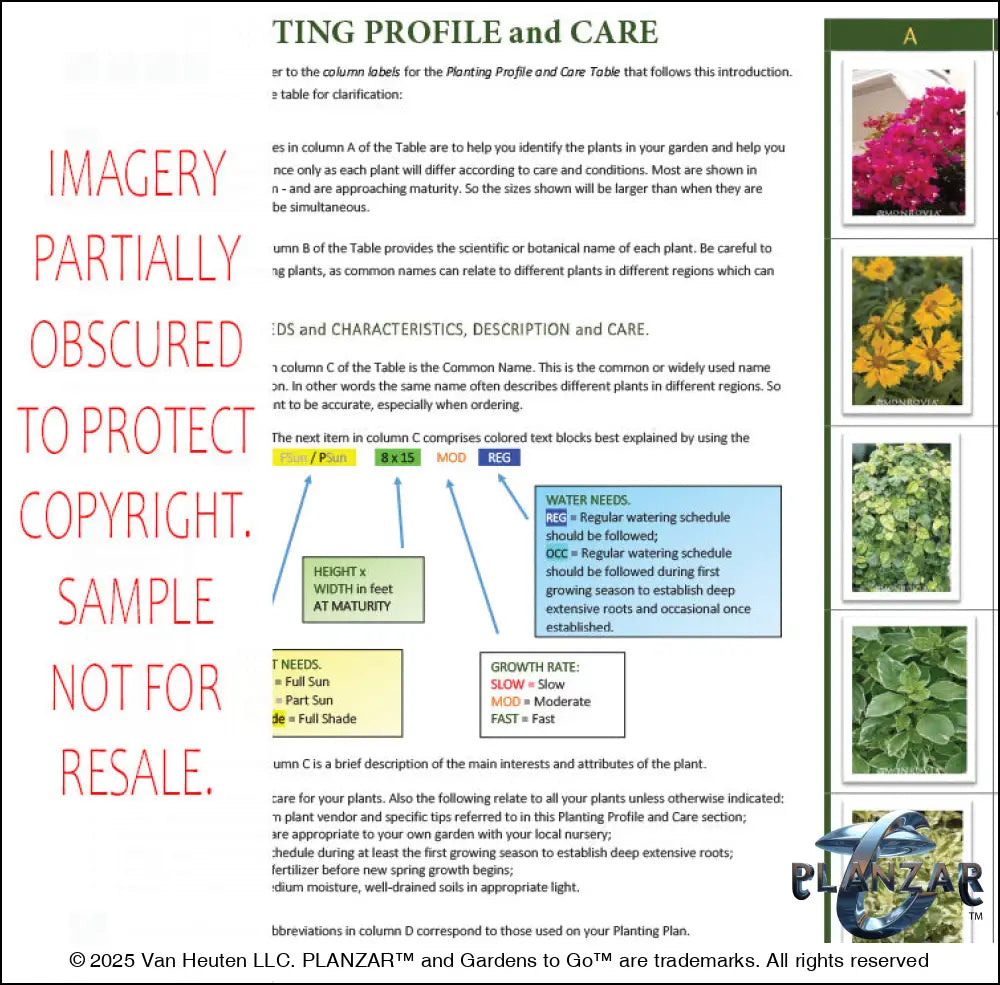 Planting guide for the L‑shaped Townhome landscape design, featuring plant identification photos, botanical names, care notes, and guidance on light needs, watering, growth habits, and mature size. Supports proper installation and long‑term care of the curated xeric planting used in this luxury, low‑maintenance, low‑water‑use plan blending modern style with traditional charm.