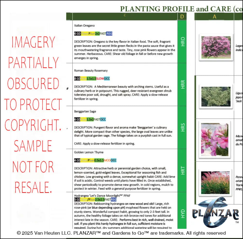 L shape Townhome Courtyard: PLANT GUIDE Digital Download Landscape Plans