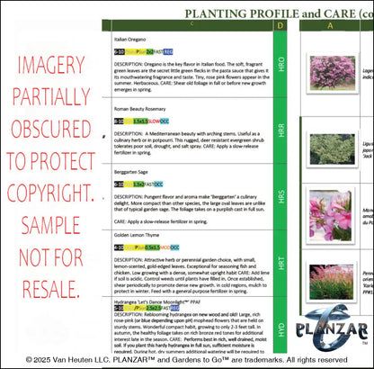 L shape Townhome Courtyard: PLANT GUIDE Digital Download Landscape Plans