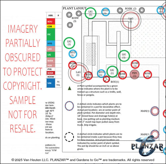 L shape Townhome Courtyard: PLANT LIST + LAYOUT Digital Download Landscape Plans
