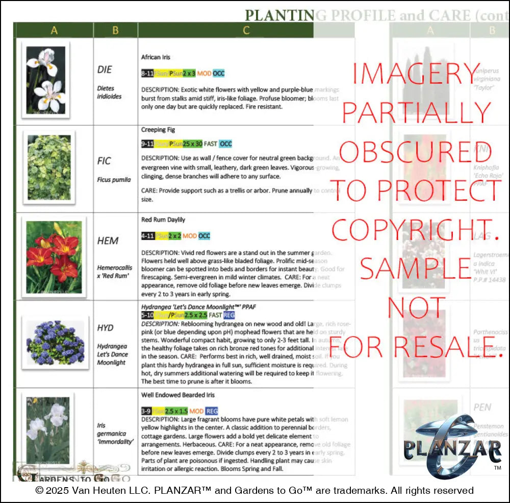 Rectangular American Colonial: PLANT GUIDE Digital Download Landscape Plans