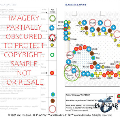 Plant list and layout for the rectangular Babbling Brook landscape design, showing plant symbols, quantities, species abbreviations, and placement across the lot. Includes a color‑coded legend, pot indicators, and zone notes to guide accurate installation and long‑term care of the curated xeric planting used in this luxury, low‑maintenance, low‑water‑use plan blending modern outdoor living with timeless traditional charm.