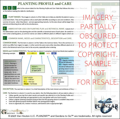 Planting guide for the rectangular Babbling Brook landscape design, featuring plant identification photos, botanical names, care notes, and guidance on light needs, watering, growth habits, and mature size. Supports proper installation and long‑term care of the curated xeric planting used in this luxury, low‑maintenance, low‑water‑use plan blending modern outdoor living with timeless traditional charm.