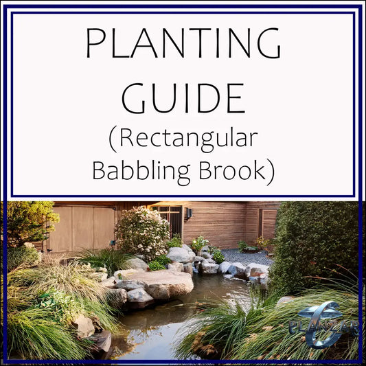 Rectangular Babbling Brook: PLANT GUIDE Digital Download Landscape Plans