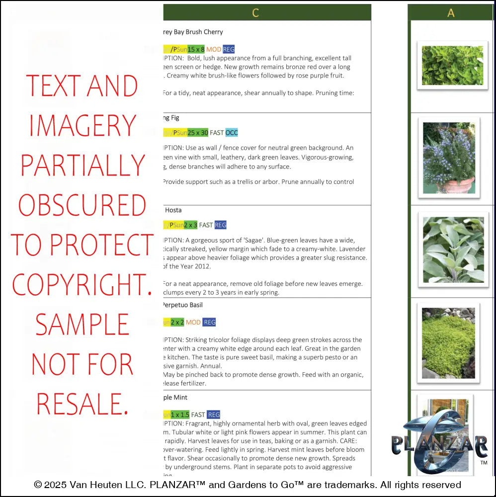 Rectangular Babbling Brook: PLANT GUIDE Digital Download Landscape Plans