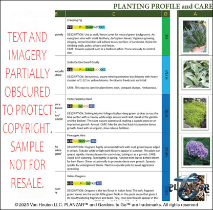 Rectangular Cypress Theatrical: PLANTING GUIDE Digital Download Landscape Plans