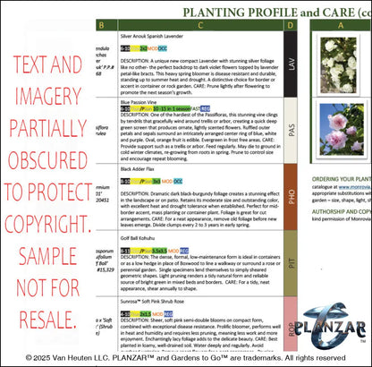 Rectangular Cypress Theatrical: PLANTING GUIDE Digital Download Landscape Plans