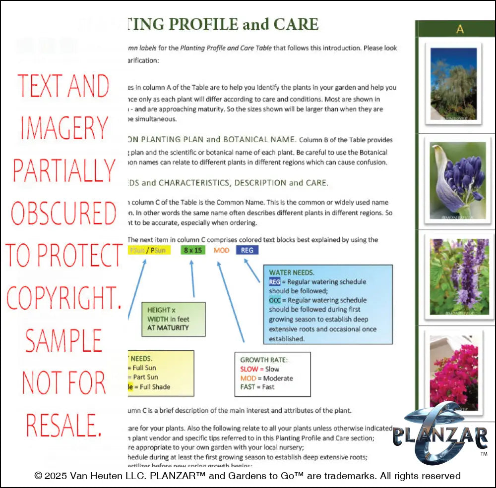 Planting guide for the rectangular Mid‑Century Modern landscape design, featuring plant identification photos, botanical names, care notes, and guidance on light needs, watering, growth habits, and mature size. Supports proper installation and long‑term care of the curated xeric planting used in this luxury, low‑maintenance, low‑water‑use plan inspired by iconic Mid‑Century Modern outdoor living.