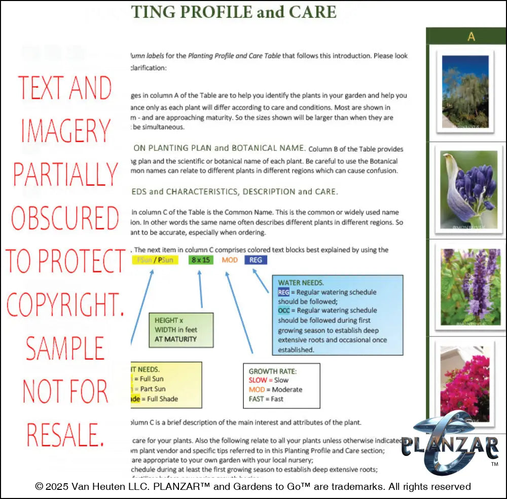 Planting guide for the rectangular Modern Water Garden landscape design, featuring plant identification photos, botanical names, care notes, and guidance on light needs, watering, growth habits, and mature size. Supports proper installation and long‑term care of the curated xeric planting used in this luxury, low‑maintenance, low‑water‑use plan blending sleek modern style with subtle traditional garden influences.