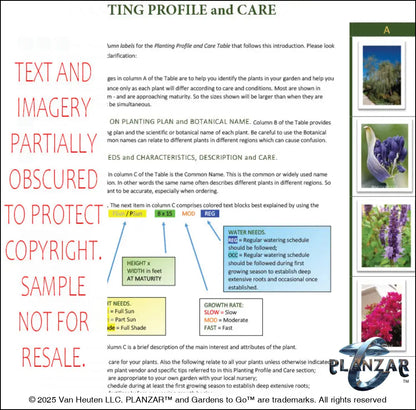 Planting guide for the rectangular Modern Water Garden landscape design, featuring plant identification photos, botanical names, care notes, and guidance on light needs, watering, growth habits, and mature size. Supports proper installation and long‑term care of the curated xeric planting used in this luxury, low‑maintenance, low‑water‑use plan blending sleek modern style with subtle traditional garden influences.