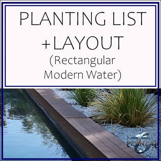 Rectangular Modern Water: PLANT LIST + LAYOUT Digital Download Landscape Plans
