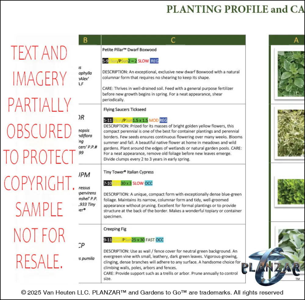 Rectangular Modern Water: PLANTING GUIDE Digital Download Landscape Plans