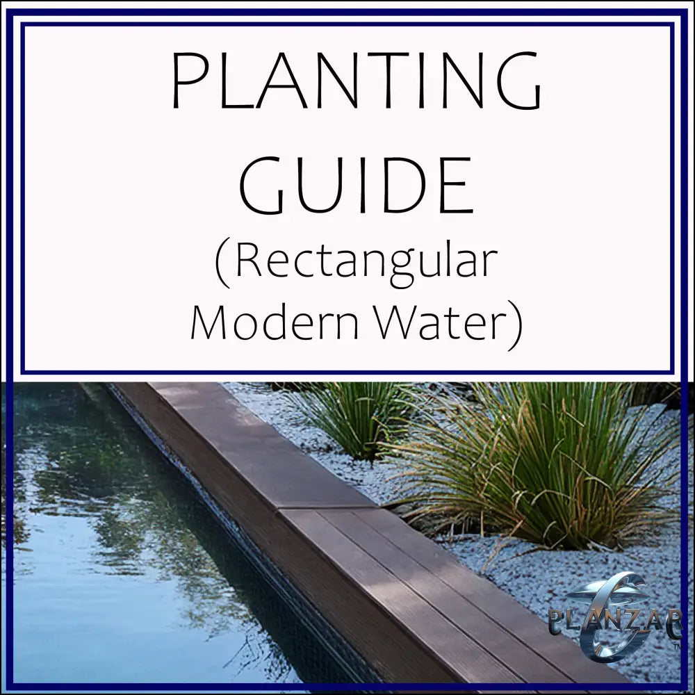 Rectangular Modern Water: PLANTING GUIDE Digital Download Landscape Plans