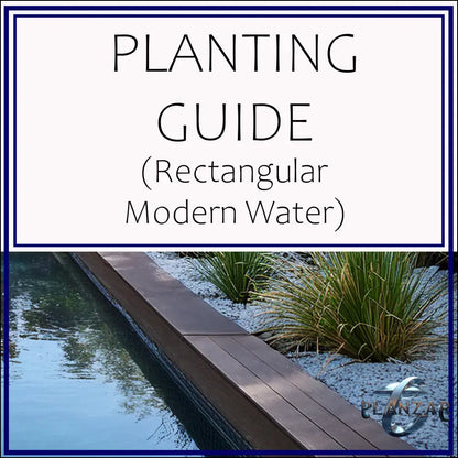 Rectangular Modern Water: PLANTING GUIDE Digital Download Landscape Plans