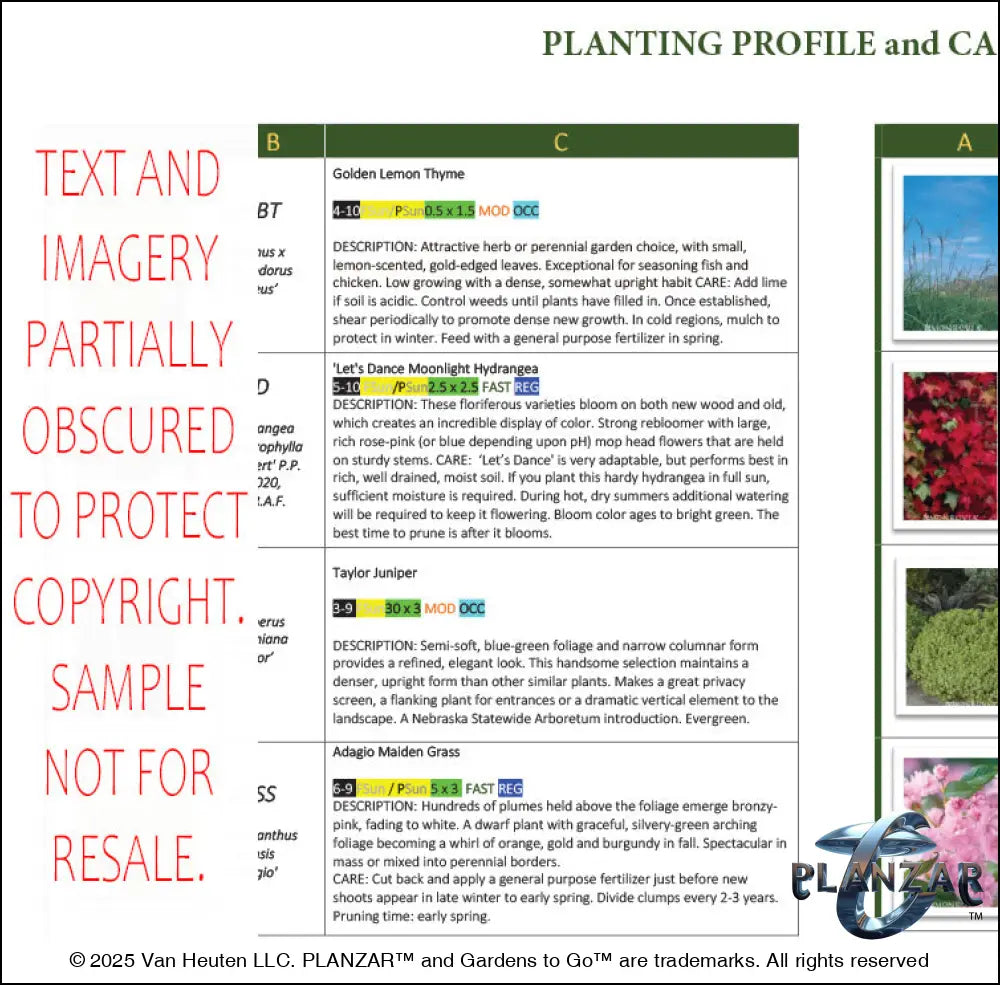 Rectangular Modern Water: PLANTING GUIDE Digital Download Landscape Plans
