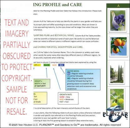 Planting guide for the rectangular French Provençal landscape design, featuring plant identification photos, botanical names, care notes, and guidance on light needs, watering, growth habits, and mature size. Supports proper installation and long‑term care of the curated xeric planting used in this luxury, low‑maintenance, low‑water‑use plan blending modern outdoor living with timeless Provençal charm.