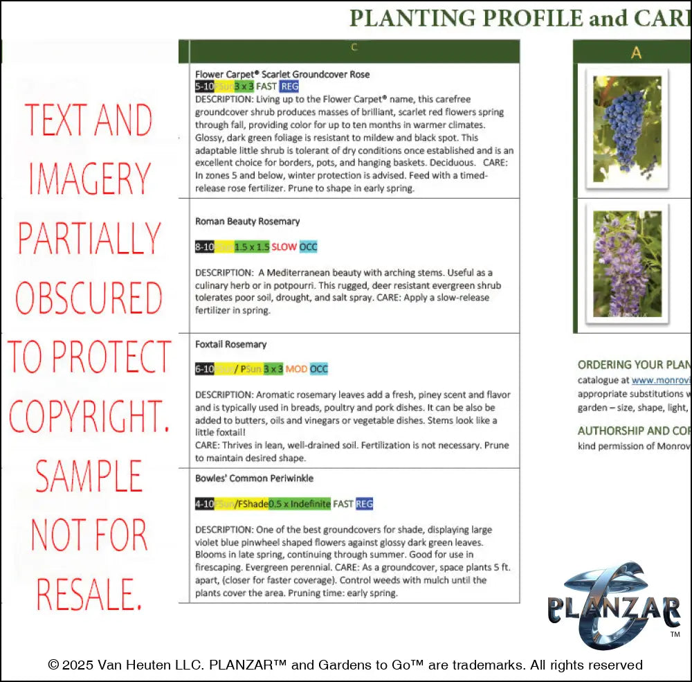 Rectangular Provencal: PLANTING GUIDE Digital Download Landscape Plans