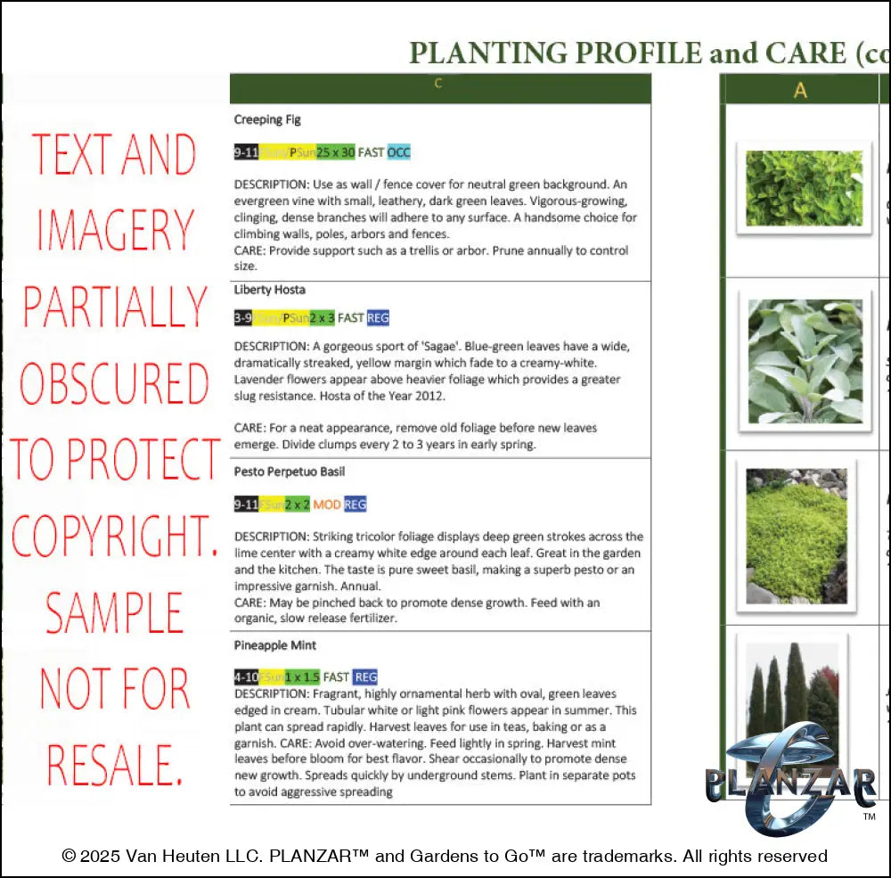 Rectangular Provencal: PLANTING GUIDE Digital Download Landscape Plans