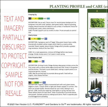Rectangular Provencal: PLANTING GUIDE Digital Download Landscape Plans