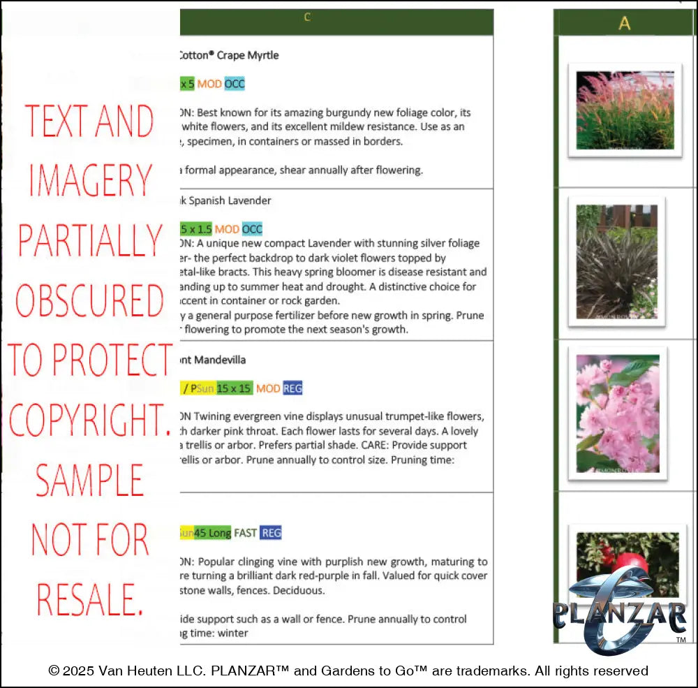 Rectangular Provencal: PLANTING GUIDE Digital Download Landscape Plans