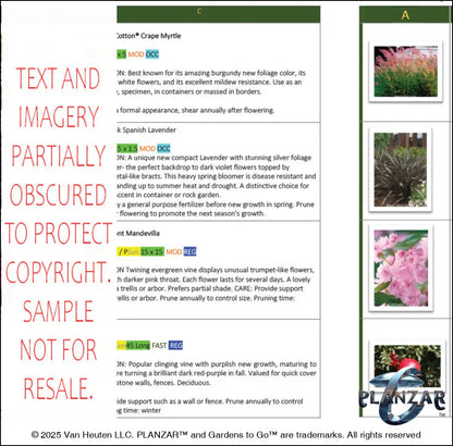 Rectangular Provencal: PLANTING GUIDE Digital Download Landscape Plans