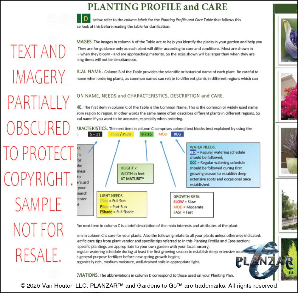 Planting guide for the rectangular Secret Garden landscape design, featuring plant identification photos, botanical names, care notes, and guidance on light needs, watering, growth habits, and mature size. Supports proper installation and long‑term care of the curated xeric planting used in this luxury, low‑maintenance, low‑water‑use plan blending modern outdoor living with timeless Secret Garden charm.