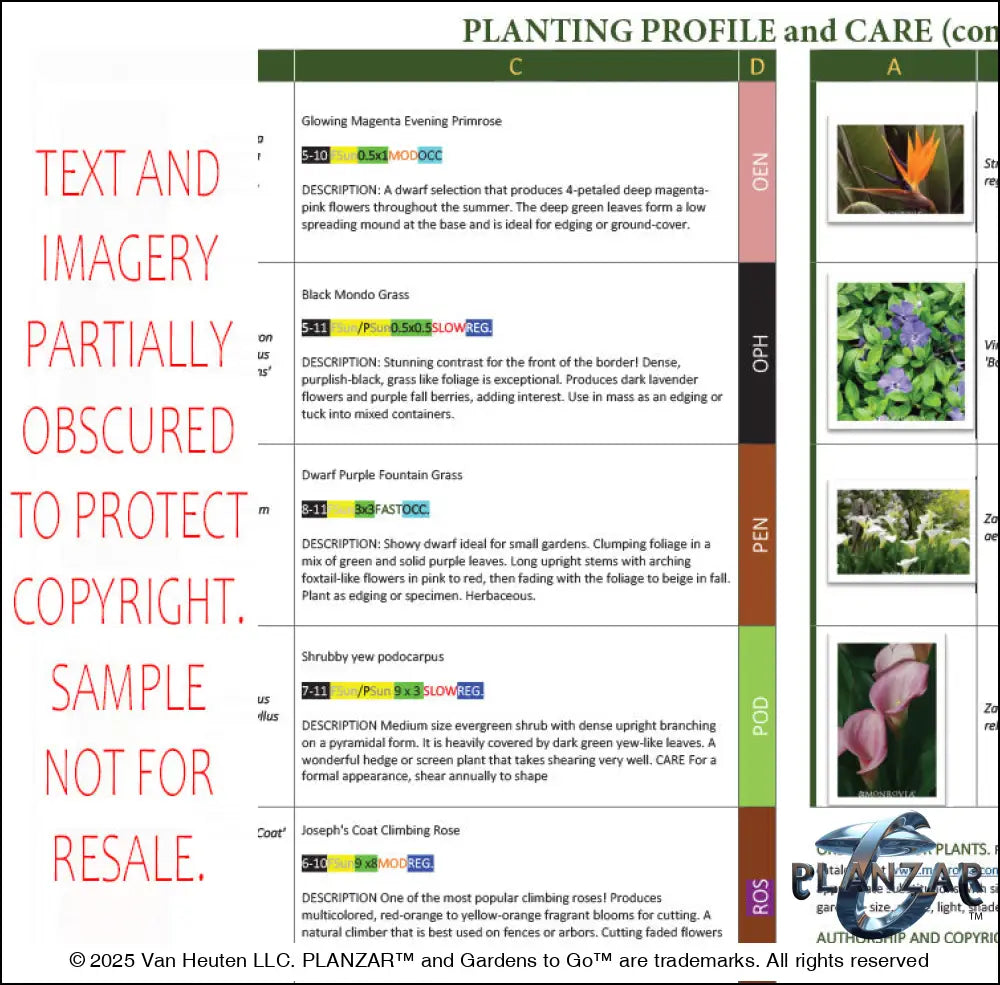 Rectangular Secret Garden: PLANT GUIDE Digital Download Landscape Plans