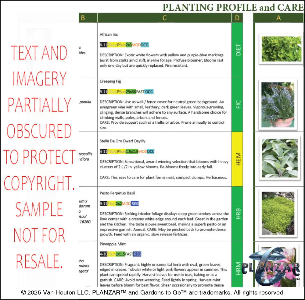Rectangular Secret Garden: PLANT GUIDE Digital Download Landscape Plans